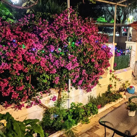 House With Garden In City Of Rhodes Rhodes City Exterior photo