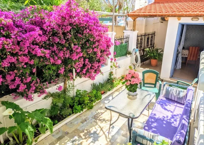 House With Garden In City Of Rhodes