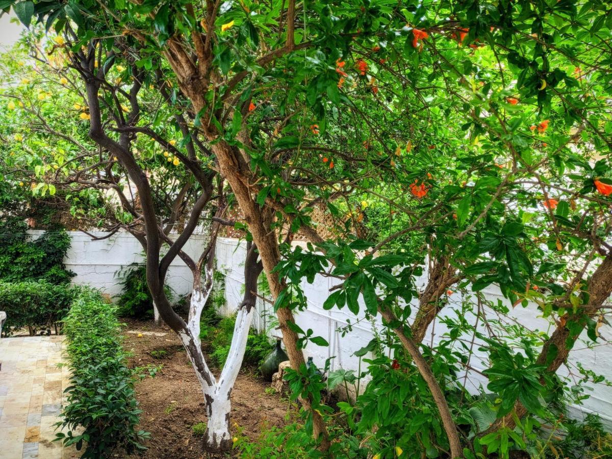 House With Garden In Of Rhodes Σπίτι διακοπών *